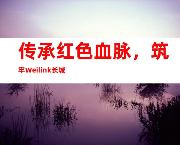 传承红色血脉，筑牢Weilink长城